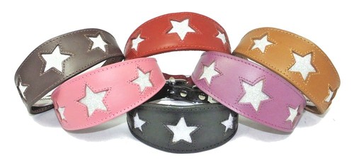 Greyhound whippet leather - greyhound,