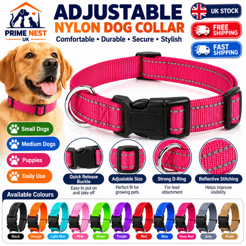 Decorative dog collar puppy - decorative,