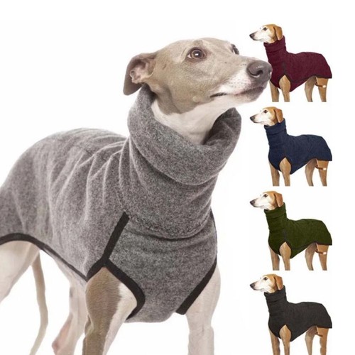 Greyhound large dog clothes - greyhound,
