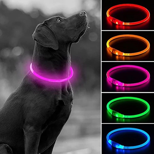 Usb rechargeable led dog - led,