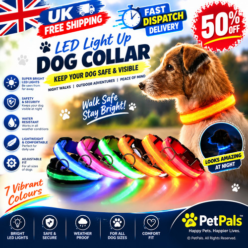 Led dog collar - led,