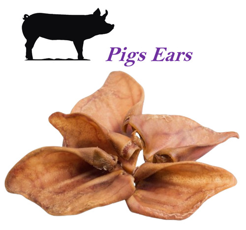Pigs pig ears ear pork - pigs,