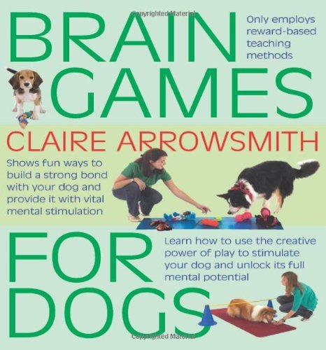 Brain games for dogs fun - games, ways