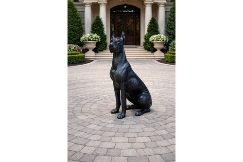 Great dane dog - great,