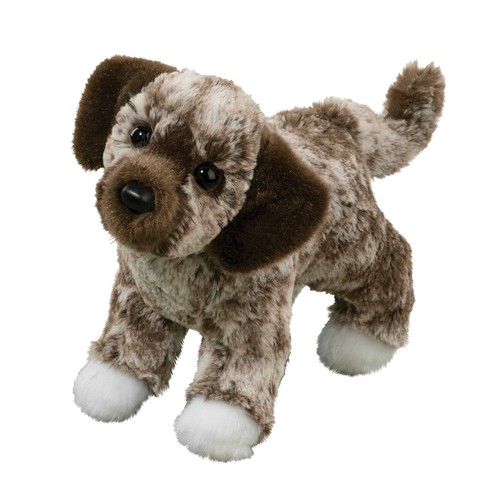 Douglas spud mixed breed mutt - douglas,