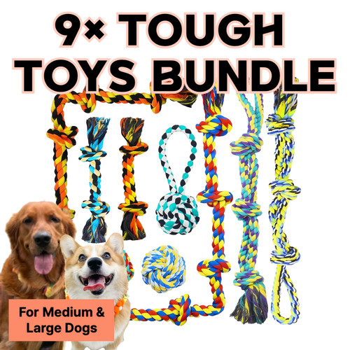 9pc durable dog chew - chew, set