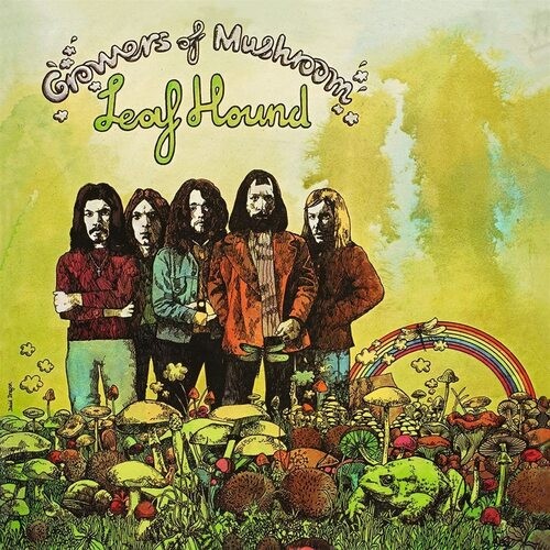 Leaf hound growers - hound,