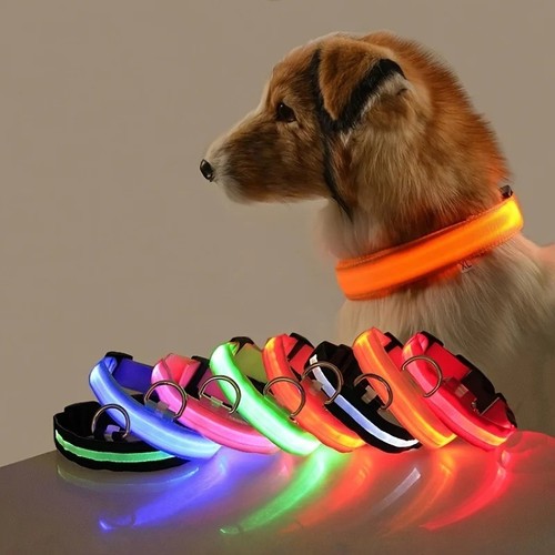 Led dog collar usb - led,