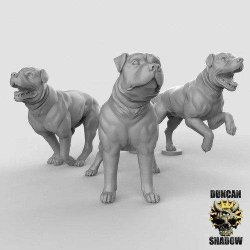 Dog miniature - ,
