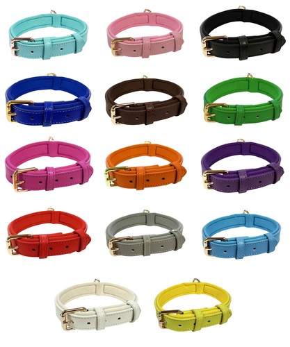 Vibrant genuine leather - leather, dog