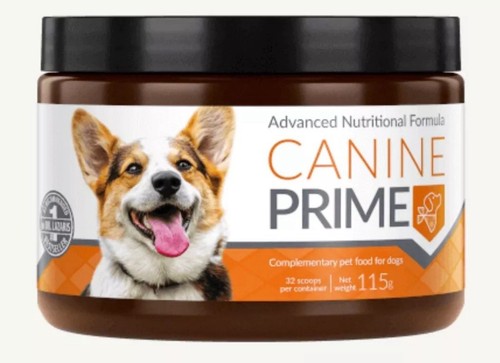 Canine prime your - canine, pet