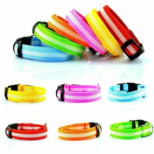 Led dog pet collar usb - dog,