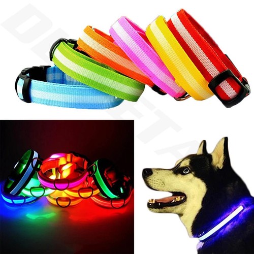 Usb rechargeable led dog - rechargeable,