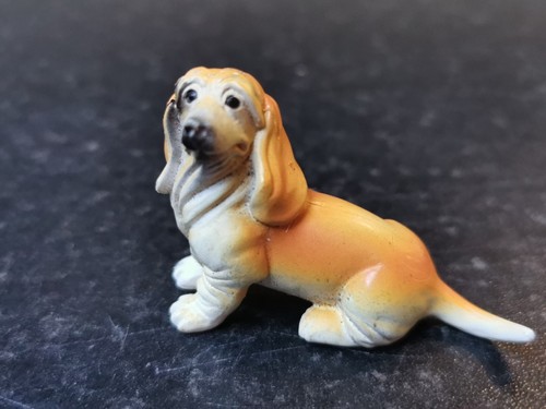 Panini basset hound - panini,