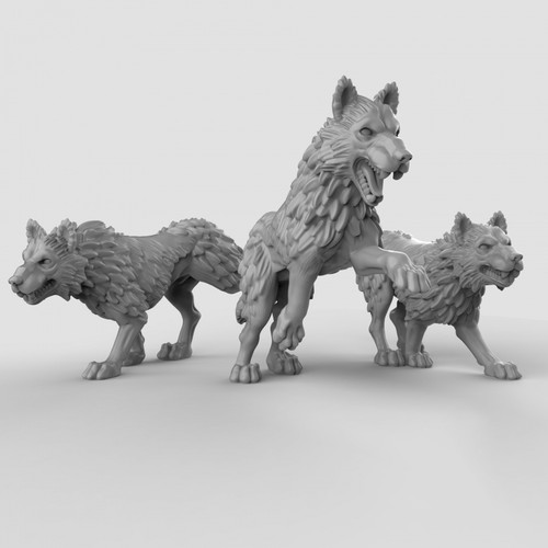 Wolf pack animal - wolf,