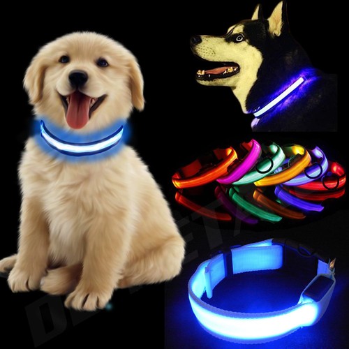 Usb rechargable led dog - led,