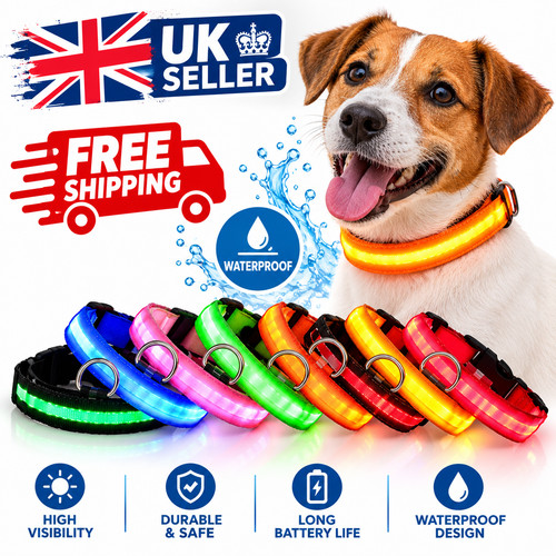 Light led dog - light,