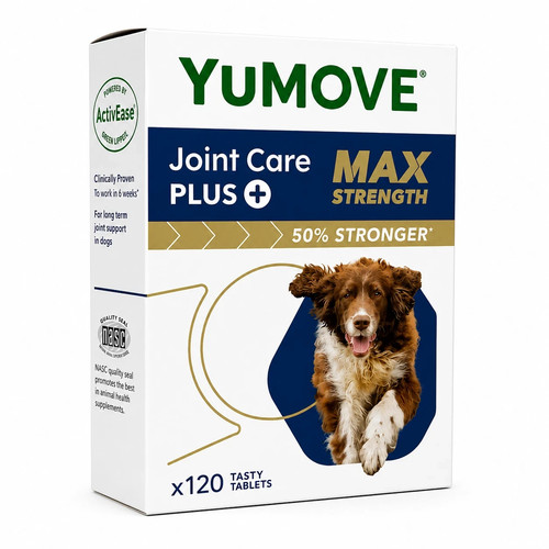 Pack yumove senior dog - 4,