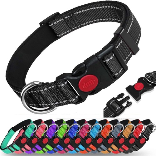 Dog collar reflective - dog,
