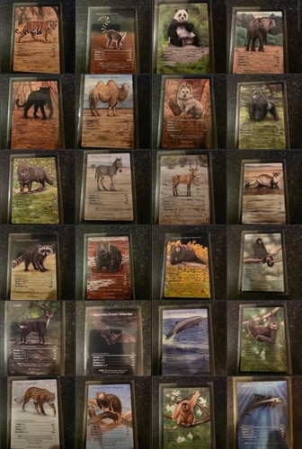 Updated life tcg - 06/10,
