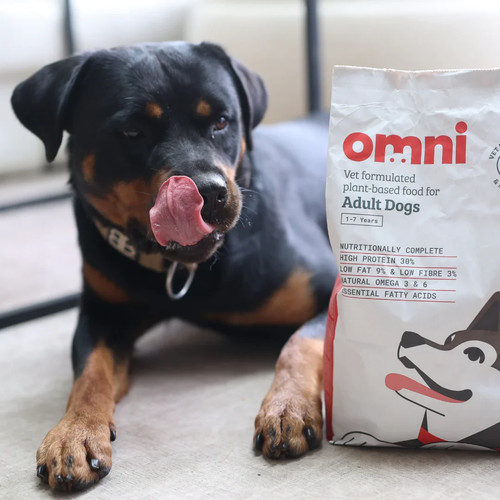 Omni vegan adult - adult, food