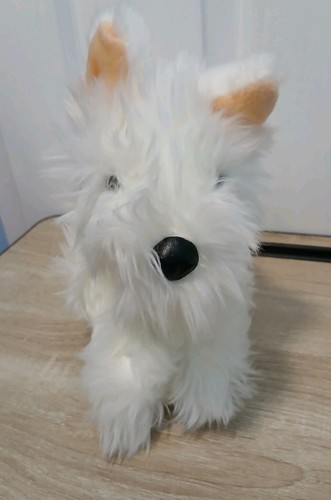 Animal alley white dog soft - alley,