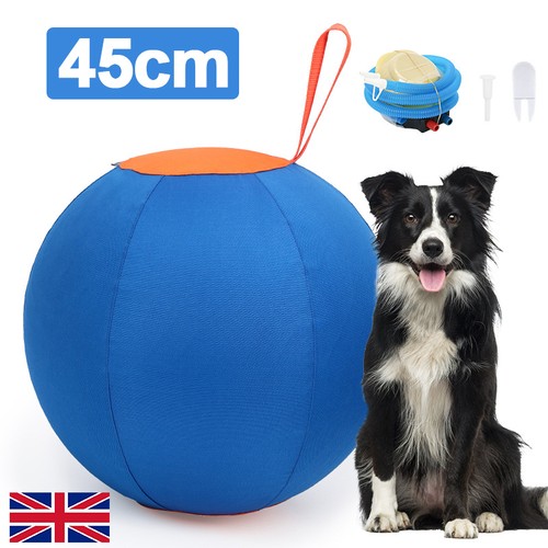 Herding ball anti - herding, horse
