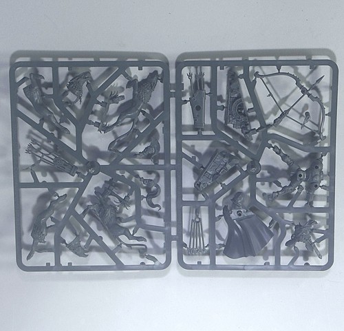 Knight judicator with - knight-judicator,