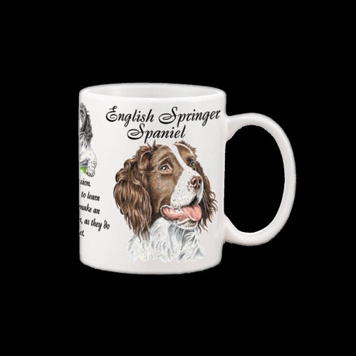 English springer spaniel dog - springer,