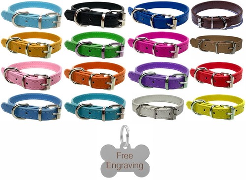 Vibrant leather dog - leather, for