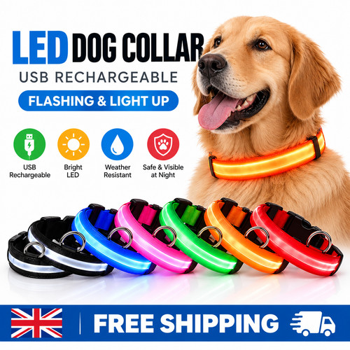 Led dog collar usb - collar,