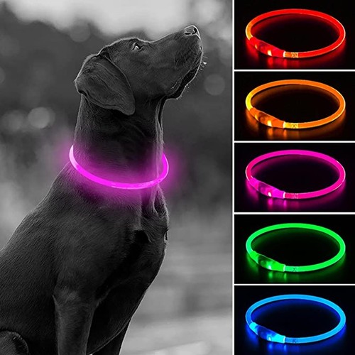Usb rechargeable led dog - rechargeable,
