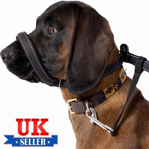 Total pet swivel flat figure - flat,