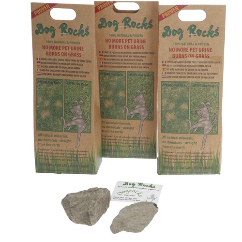 Dog rocks urine patch - rocks,