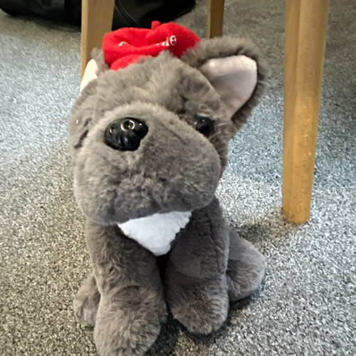 Grey white plush dog soft - grey,
