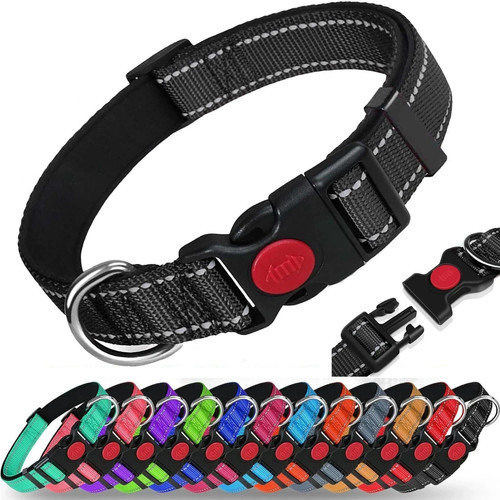 Dog collar reflective - collar,