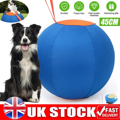 Herding ball anti burst horse - anti,