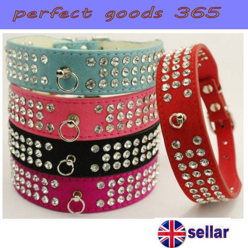 Dog collar suede leather row - collar,