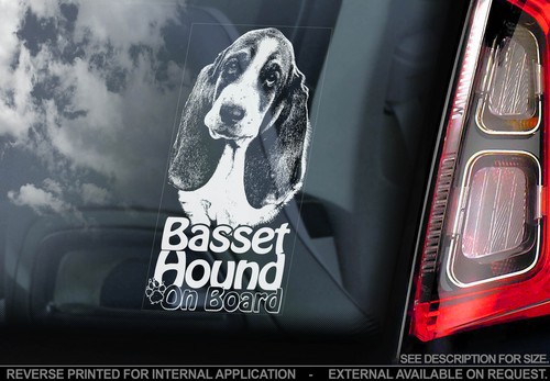 Basset hound dog car - basset,