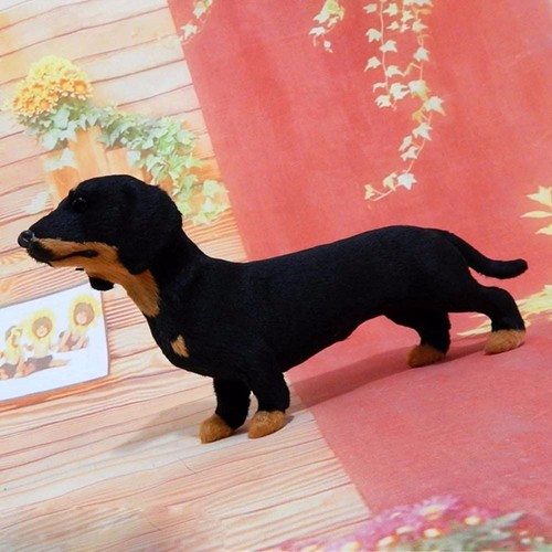 Realistic dachshund simulation - realistic,