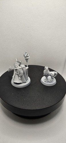 Lord veritant and gryph - veritant,