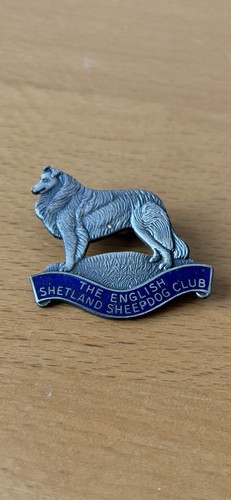 English shetland sheepdog - english,