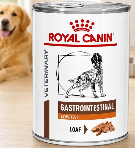 Royal canin gastro - royal, gastro-intestinal